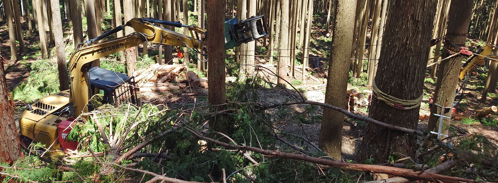 本宮町森林組合