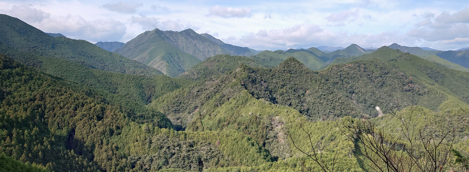本宮町森林組合