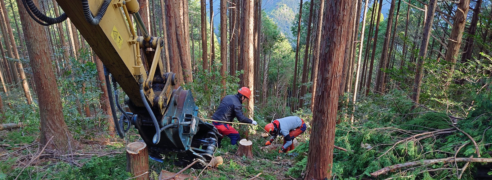 本宮町森林組合