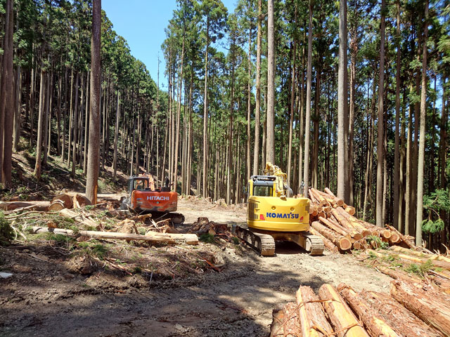 木材生産