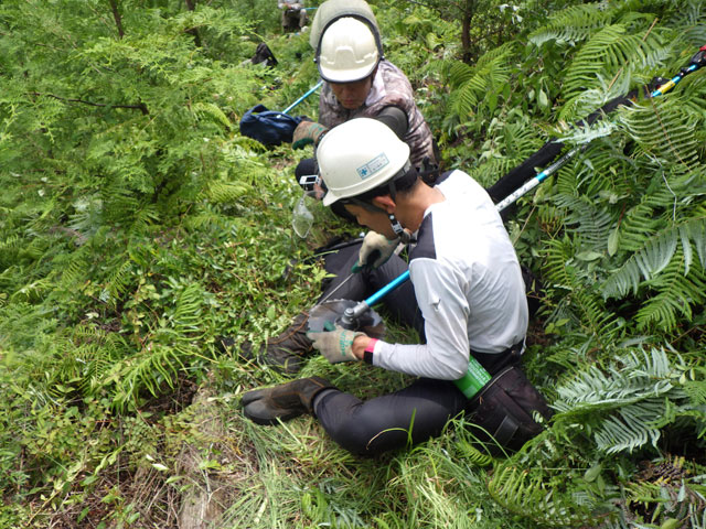 本宮町森林組合